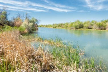 Bozkır nehir sazlık yaz