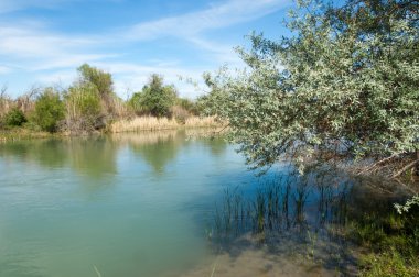 Bozkır nehir sazlık yaz