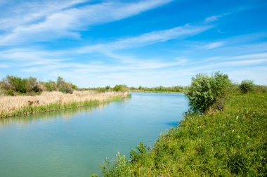 Bozkır nehir sazlık yaz
