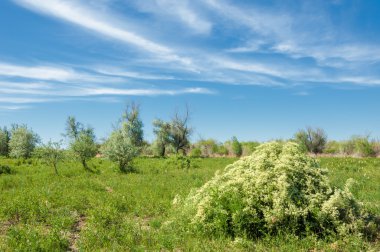 Bozkır, çayır, veldt, veld, taşkın