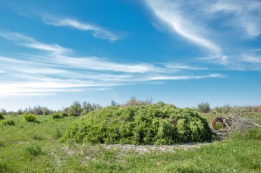 Bozkır, çayır, veldt, veld, taşkın. Kazakistan bozkırlarında güzel doğada