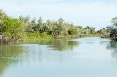 Bozkır nehir sazlık yaz. nehir görünümünde kez izlendi. küçük mavi nehir kıyısında güneşli bir gün