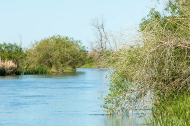 Bozkır nehir sazlık yaz. nehir görünümünde kez izlendi. küçük mavi nehir kıyısında güneşli bir gün