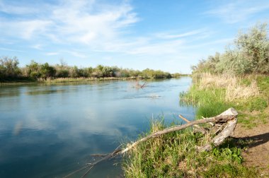 Bozkır nehir sazlık yaz