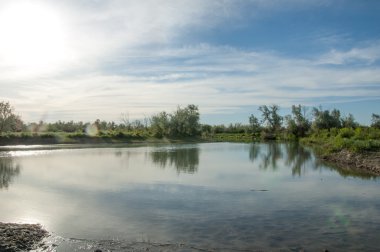 Bozkır nehir sazlık yaz. nehir görünümünde kez izlendi. küçük mavi nehir kıyısında güneşli bir gün