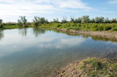 Bozkır nehir sazlık yaz. nehir görünümünde kez izlendi. küçük mavi nehir kıyısında güneşli bir gün
