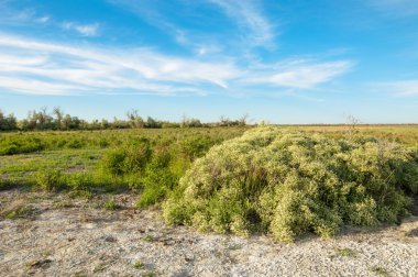 Bozkır tuzlu topraklar