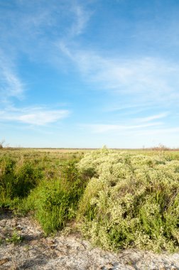 Bozkır tuzlu topraklar