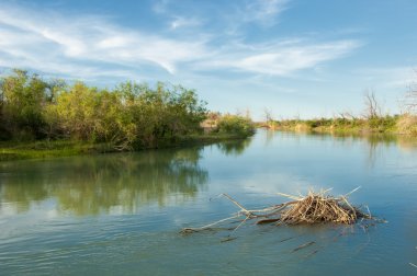 Bozkır nehir sazlık yaz