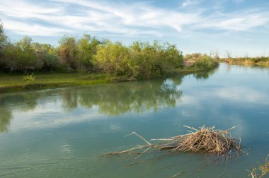 Bozkır nehir sazlık yaz. nehir görünümünde kez izlendi. küçük mavi nehir kıyısında güneşli bir gün