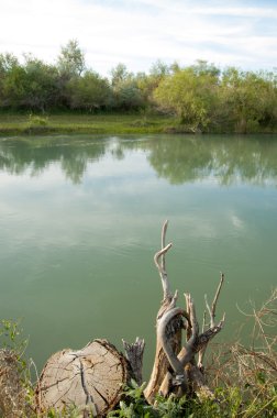 Bozkır nehir sazlık yaz. nehir görünümünde kez izlendi. küçük mavi nehir kıyısında güneşli bir gün