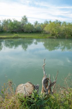 Bozkır nehir sazlık yaz