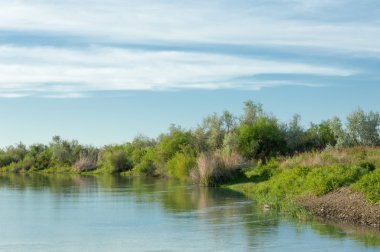 Bozkır nehir sazlık yaz