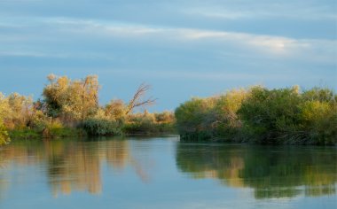 Bozkır nehir sazlık yaz. nehir görünümünde kez izlendi. küçük mavi nehir kıyısında güneşli bir gün
