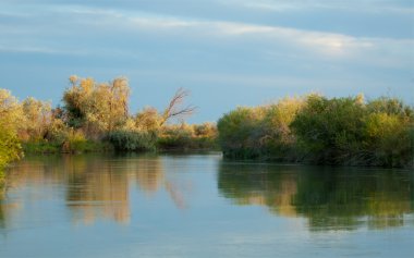 Bozkır nehir sazlık yaz. nehir görünümünde kez izlendi. küçük mavi nehir kıyısında güneşli bir gün