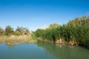 Bozkır nehir sazlık yaz