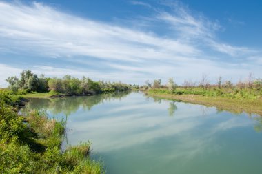 Bozkır nehir sazlık yaz