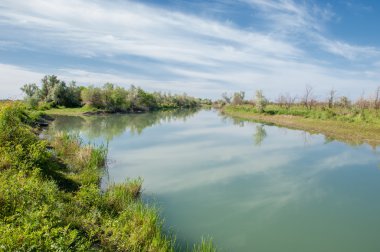 Bozkır nehir sazlık yaz