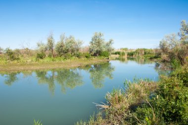 Bozkır nehir sazlık yaz