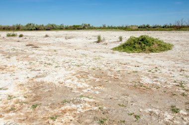 Bozkır tuzlu topraklar