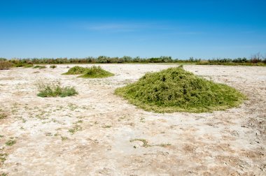 Bozkır tuzlu topraklar