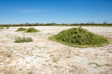 Bozkır tuzlu topraklar