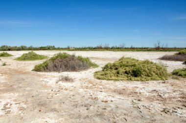 Bozkır tuzlu topraklar