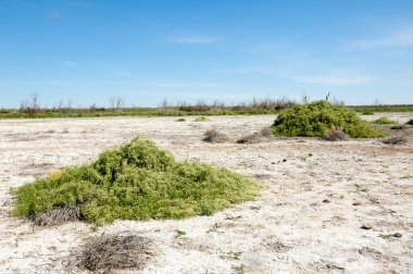 Bozkır tuzlu topraklar