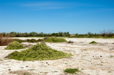 Bozkır tuzlu topraklar
