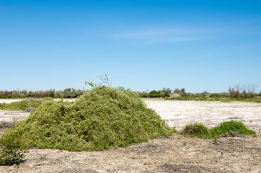 Bozkır tuzlu topraklar