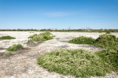Bozkır tuzlu topraklar