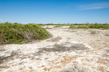 Bozkır tuzlu topraklar. tuz tuz tuz. Bozkır çayır veldt veld. Tuzlu toprak çöl, tuzlu Göller. cansız yanıp kavrulmuş dünyamız. Kazakistan çıplak bozkır