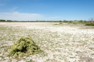 Bozkır tuzlu topraklar. tuz tuz tuz. Bozkır çayır veldt veld. Tuzlu toprak çöl, tuzlu Göller. cansız yanıp kavrulmuş dünyamız. Kazakistan çıplak bozkır