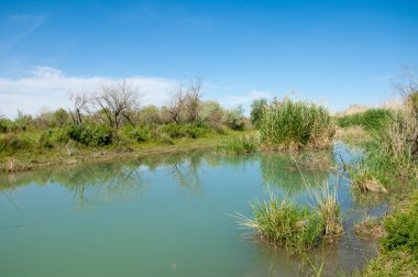 Bozkır nehir sazlık yaz