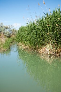 Bozkır nehir sazlık yaz