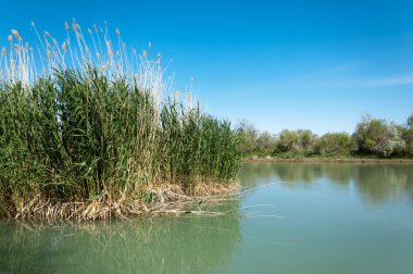 Bozkır nehir sazlık yaz