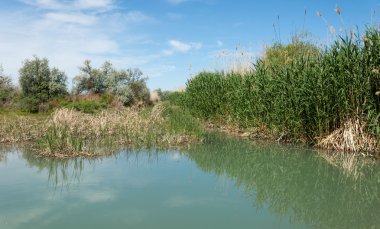 Bozkır nehir sazlık yaz