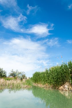 Bozkır nehir sazlık yaz