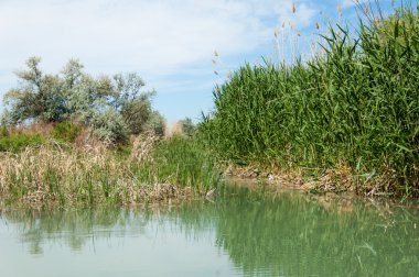 Bozkır nehir sazlık yaz. nehir görünümünde kez izlendi. küçük mavi nehir kıyısında güneşli bir gün