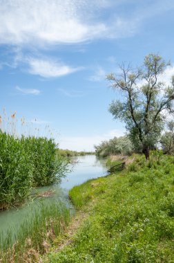 Bozkır nehir sazlık yaz