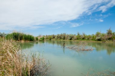 Bozkır nehir sazlık yaz