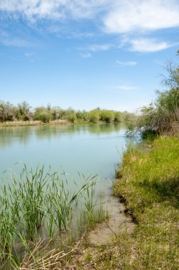 Bozkır nehir sazlık yaz. nehir görünümünde kez izlendi. küçük mavi nehir kıyısında güneşli bir gün