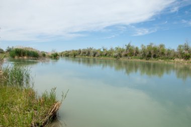 Bozkır nehir sazlık yaz
