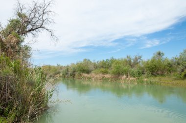 Bozkır nehir sazlık yaz