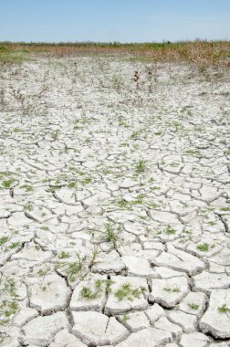 Bozkır tuzlu topraklar. tuz tuz tuz. Bozkır çayır veldt veld. Tuzlu toprak çöl, tuzlu Göller. cansız yanıp kavrulmuş dünyamız. Kazakistan çıplak bozkır