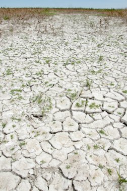 Bozkır tuzlu topraklar. tuz tuz tuz. Bozkır çayır veldt veld. Tuzlu toprak çöl, tuzlu Göller. cansız yanıp kavrulmuş dünyamız. Kazakistan çıplak bozkır