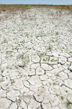 Steppe saline soils. saline  salt  in salt.  steppe  prairie  veldt veld. Saline soils of the desert, salt lakes,.  lifeless scorched earth. bare steppe of Kazakhstan clipart