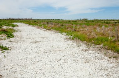 Bozkır tuzlu topraklar. tuz tuz tuz. Bozkır çayır veldt veld. Tuzlu toprak çöl, tuzlu Göller. cansız yanıp kavrulmuş dünyamız. Kazakistan çıplak bozkır