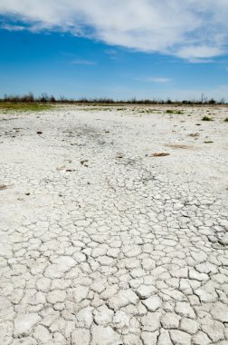 Bozkır tuzlu topraklar. tuz tuz tuz. Bozkır çayır veldt veld. Tuzlu toprak çöl, tuzlu Göller. cansız yanıp kavrulmuş dünyamız. Kazakistan çıplak bozkır