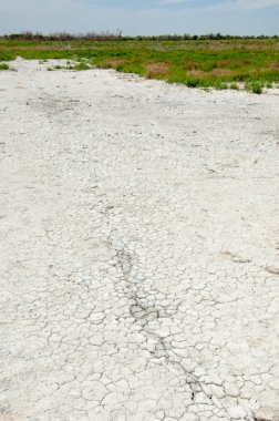 Bozkır tuzlu topraklar. tuz tuz tuz. Bozkır çayır veldt veld. Tuzlu toprak çöl, tuzlu Göller. cansız yanıp kavrulmuş dünyamız. Kazakistan çıplak bozkır